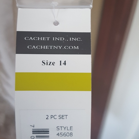 Champagne Color Dress - Picture 6 of 6